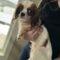 Tobie