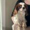 Tobie