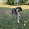 Millie